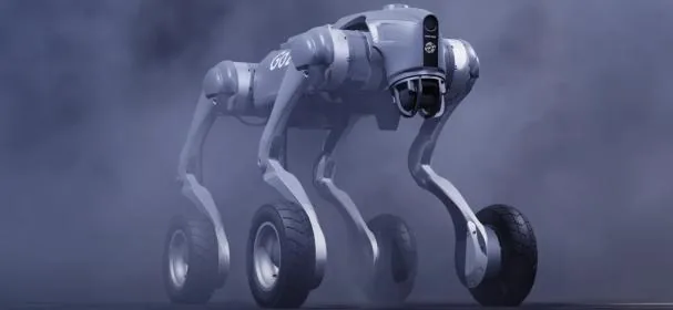 Quadruped robot from the Chinese brand Unitree.