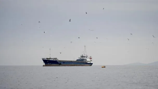 Iran Proposes That Ships Can Freely Cross Hormuz On The Omani Side