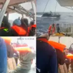Israel begins intercepting the rest of the flotilla heading to Gaza near Cyprus