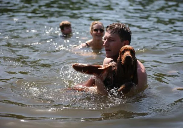 British pets are also suffocating. Scene yesterday next to the Teddington lock, in London.