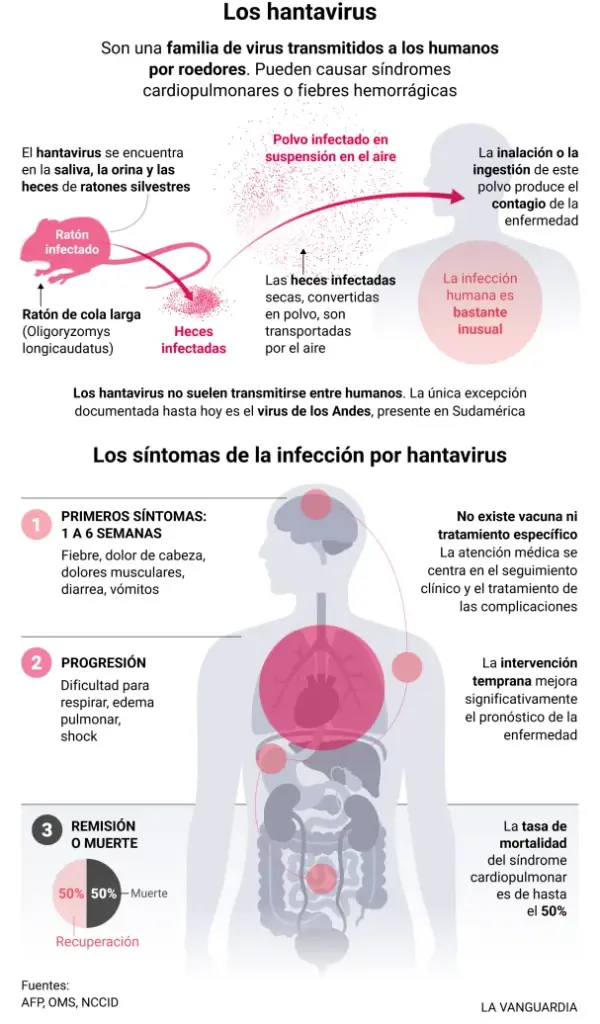 Cómo se contagia el hantavirus