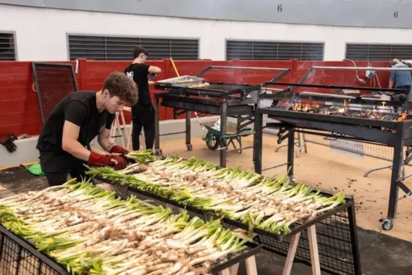 Las Rozas celebrates a new edition of the gastronomic festival dedicated to calçots: about 30,000 will be grilled with firewood this weekend