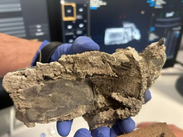 The small box hidden inside the plaster of the human mold found during the investigations led by Amedeo Maiuri in 1961 <br>