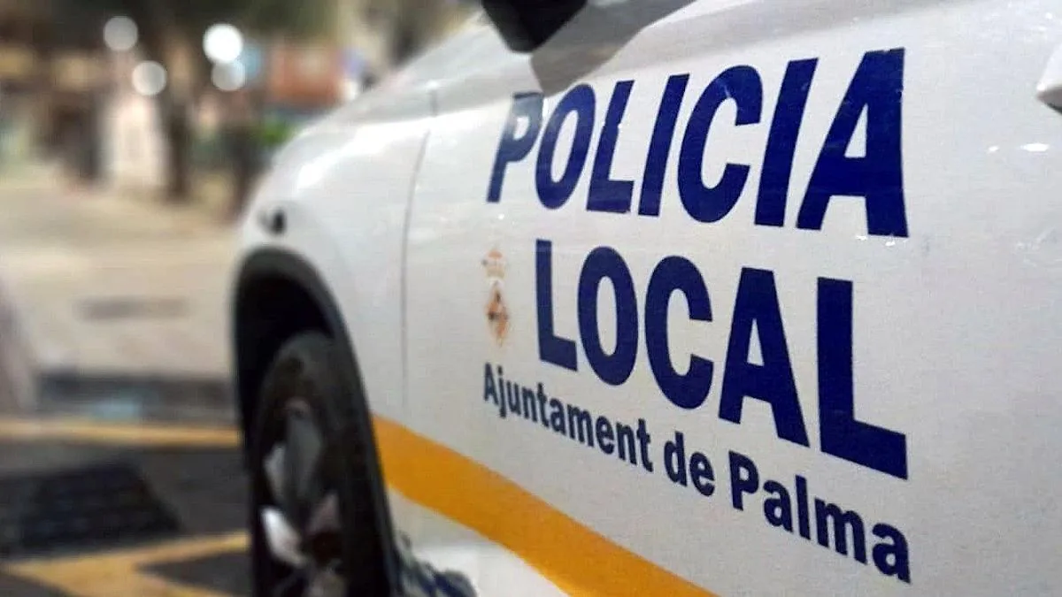 Investigate the homicide of a woman in Pere Garau at the hands of a relative