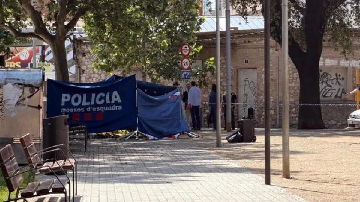 The man arrested for the stabbing death of his ex-partner in Figueres will testify before the judge on Friday
