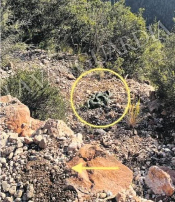 In the circle, the victim's green anorak can still be seen, which along with his glasses and watch, remained in that first section of the embankment. At the top, with the arrow, the footprint that caught the attention of the Mossos d’Esquadra investigators when they arrived at the trail can be seen. A mark that the judge states in her prison order was intentional to simulate a slip.