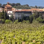 The new German life of Freixenet