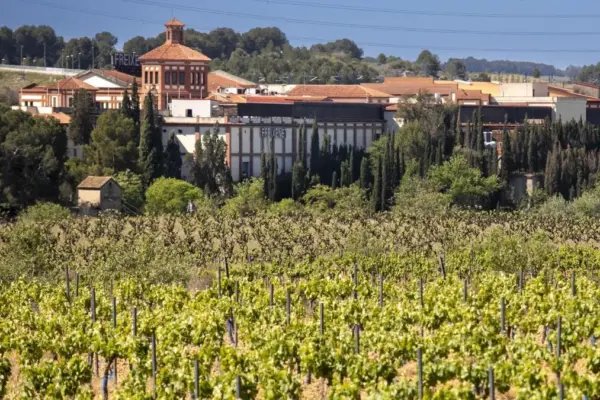 The new German life of Freixenet