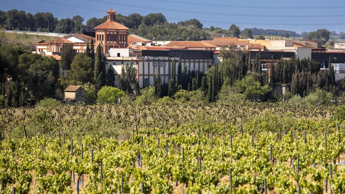 The new German life of Freixenet