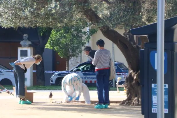 La policía científica buscando pruebas en Figueres