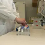 Loose ends that can spread hantavirus
