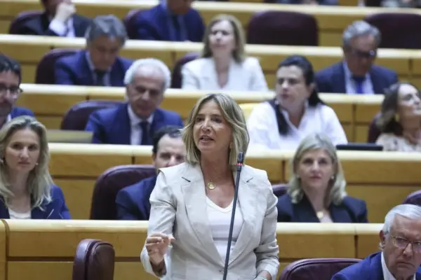 The Senate approves a motion from the PP to call elections with the abstention of Junts and PNV