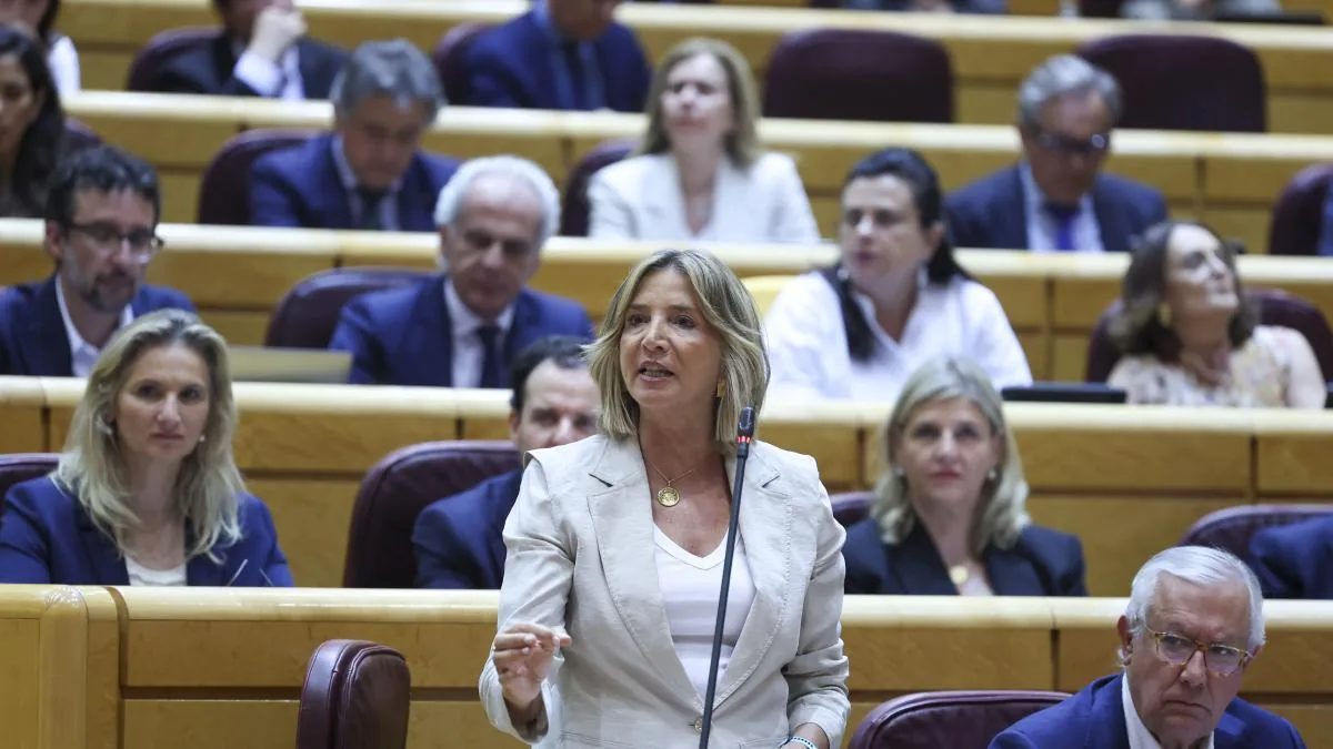 The Senate approves a motion from the PP to call elections with the abstention of Junts and PNV