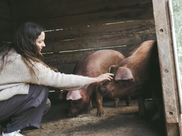 Mas Corominas offers an experience designed so that all kinds of audiences can see and pet animals in their natural habitat, between the field and the forest