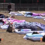 China crowns the "king of sleep" in a nap championship in the middle of the forest