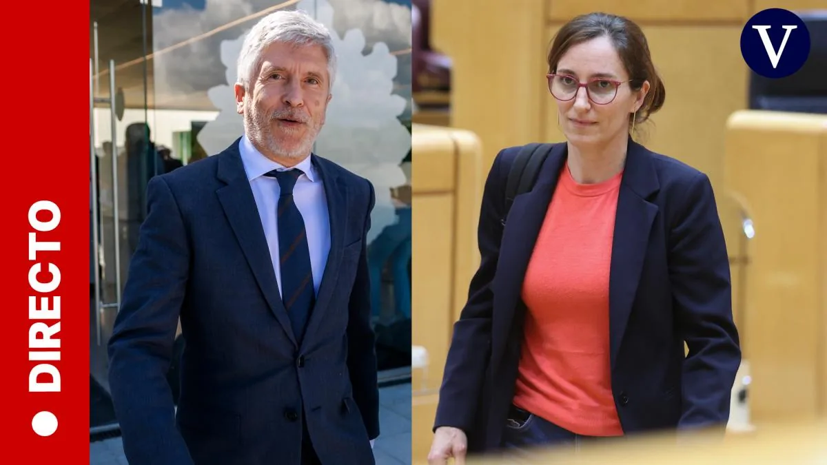 Press conference of Marlaska and García on the situation of the MV Hondius