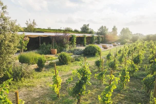Exterior of Clos de Basella, which stands out for the production of organic wines of D.O.Empordà variety
