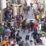 Reprimand from the Consell Jurídic to the Generalitat Valenciana's ‘bous al carrer’ regulation