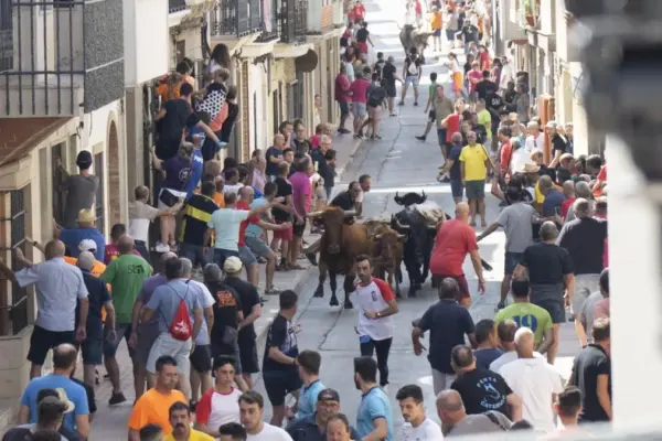 Reprimand from the Consell Jurídic to the Generalitat Valenciana's ‘bous al carrer’ regulation