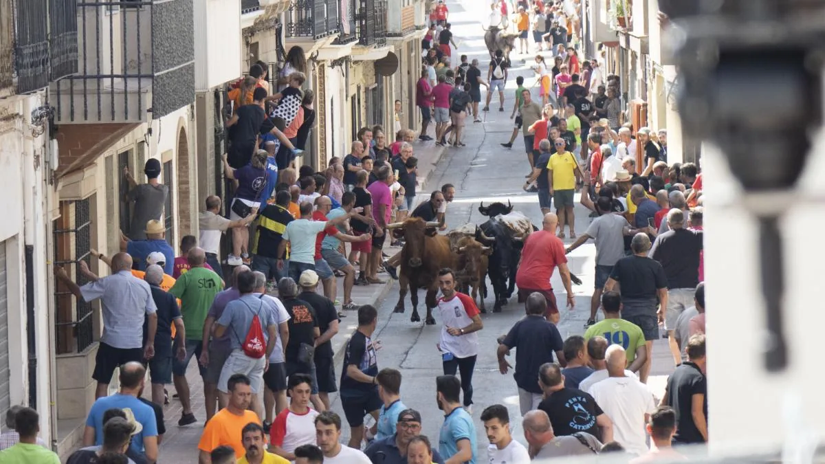 Reprimand from the Consell Jurídic to the Generalitat Valenciana's ‘bous al carrer’ regulation