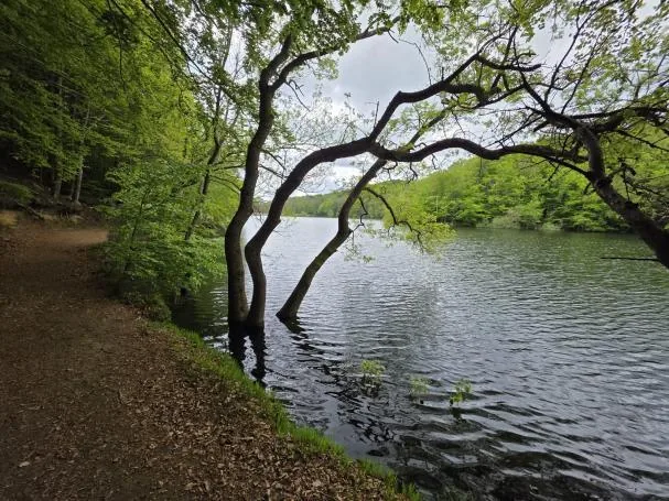 The Santa Fe del Montseny reservoir, full after months of rain, in a recent image