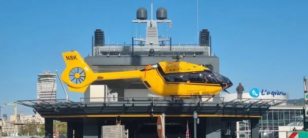 The helicopter is a twin of the one used in different areas of Spain as HEMS or air ambulance. In this case, it is configured in VIP version