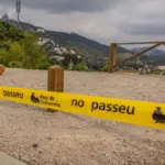 Barcelona assumes that Collserola will not open at least until after summer due to the swine fever