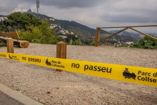 Barcelona assumes that Collserola will not open at least until after summer due to the swine fever