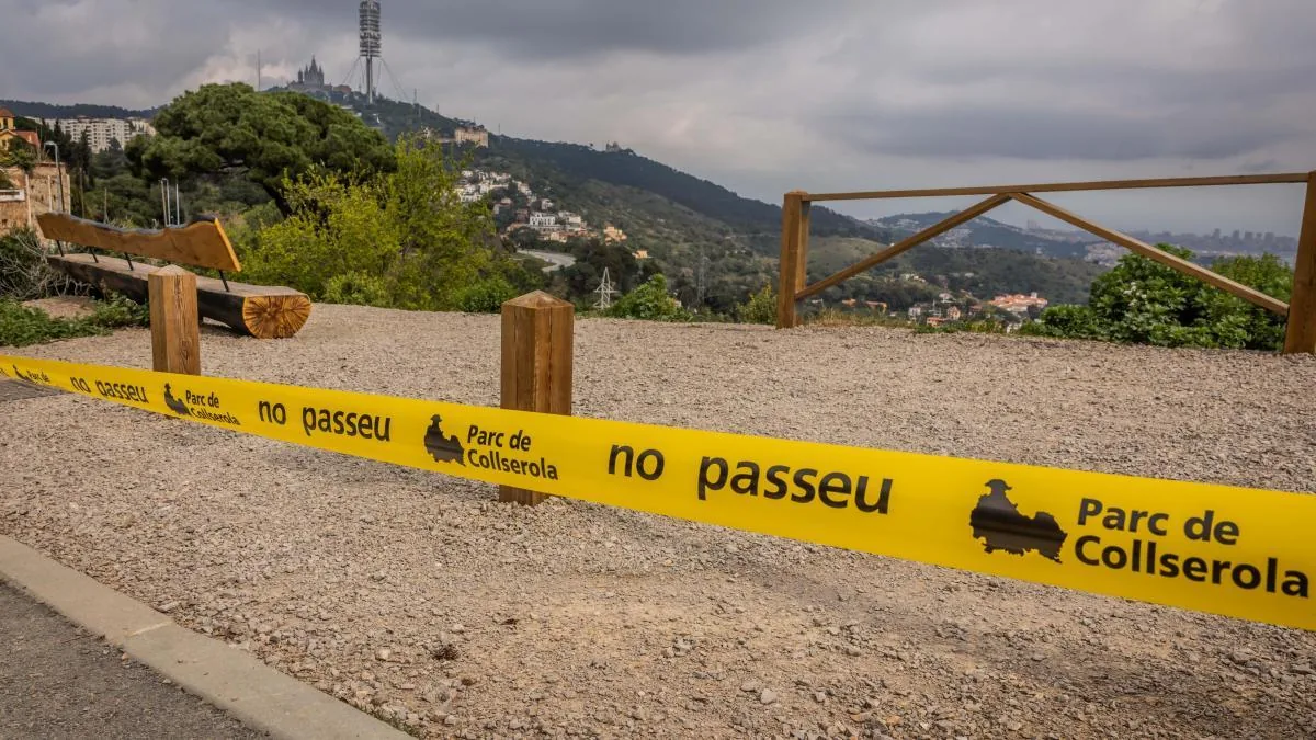 Barcelona assumes that Collserola will not open at least until after summer due to the swine fever