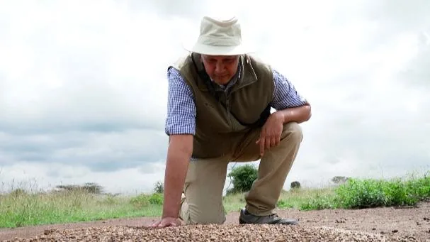 Dr. Dinos Martins admiring the queen ants' shelters on the outskirts of Nairobi