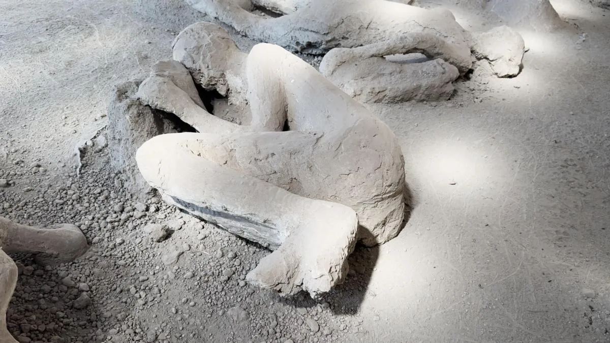 Discovered in Pompeii the instruments of a doctor who tried to escape the eruption of Vesuvius through the Garden of the Fugitives