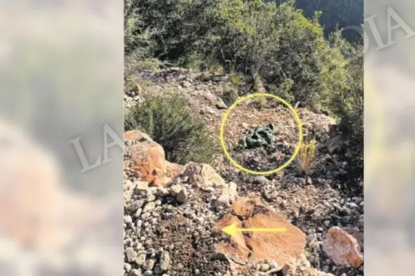Two climbers attended to Jonathan Andic after the father's fall
