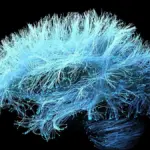 Vote for the finalists of the Vanguardia de la Ciencia award