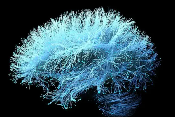 Vote for the finalists of the Vanguardia de la Ciencia award