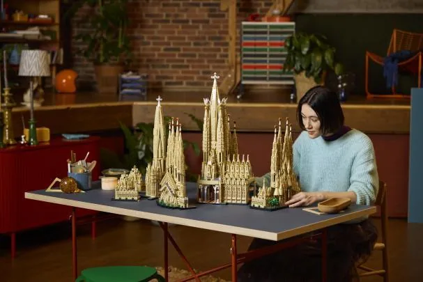 The construction of the model
