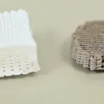 Spanish scientists create a more resistant coating for 3D printed bone implants