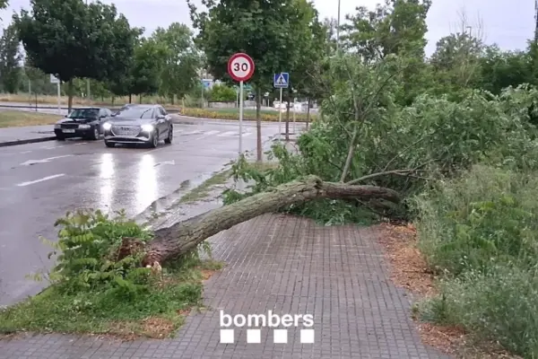 The rainstorm causes a Rodalies train to crash into a tree and forces the closure of the C-17 in Ripoll