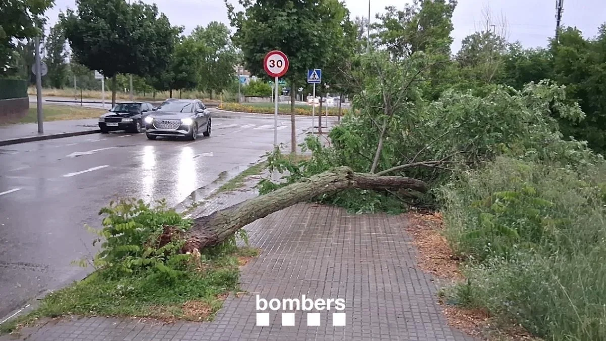 The rainstorm causes a Rodalies train to crash into a tree and forces the closure of the C-17 in Ripoll