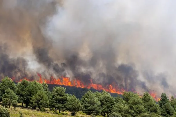 The La Mierla fire in Guadalajara has already led to 32 evacuated towns with about 1,200 people affected and the operation is focused on protecting the populations