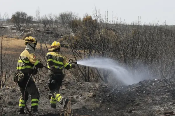 The evacuees from the Orés fire return to their homes