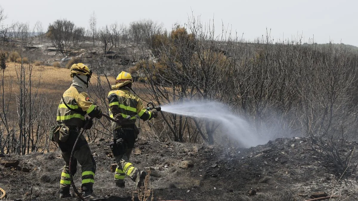 The evacuees from the Orés fire return to their homes