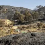 An evacuee due to the fire in Los Gallardos (Almería), after returning home: “Miraculously we have not suffered any damage”