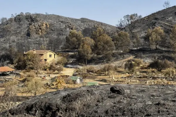 An evacuee due to the fire in Los Gallardos (Almería), after returning home: “Miraculously we have not suffered any damage”