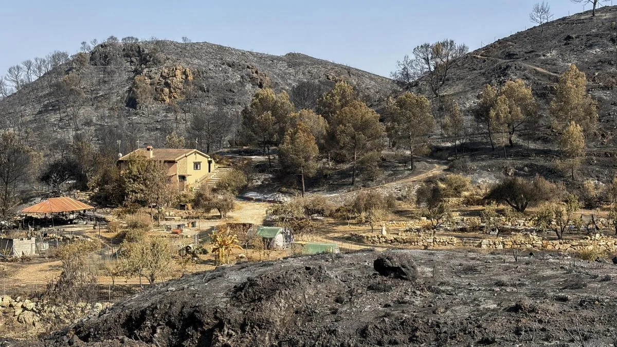 An evacuee due to the fire in Los Gallardos (Almería), after returning home: “Miraculously we have not suffered any damage”