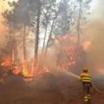 This is how the great fire of San Martín de Valdeiglesias originated
