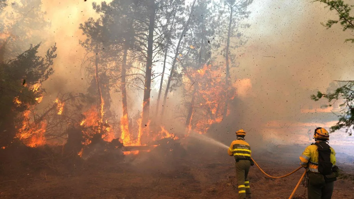 This is how the great fire of San Martín de Valdeiglesias originated