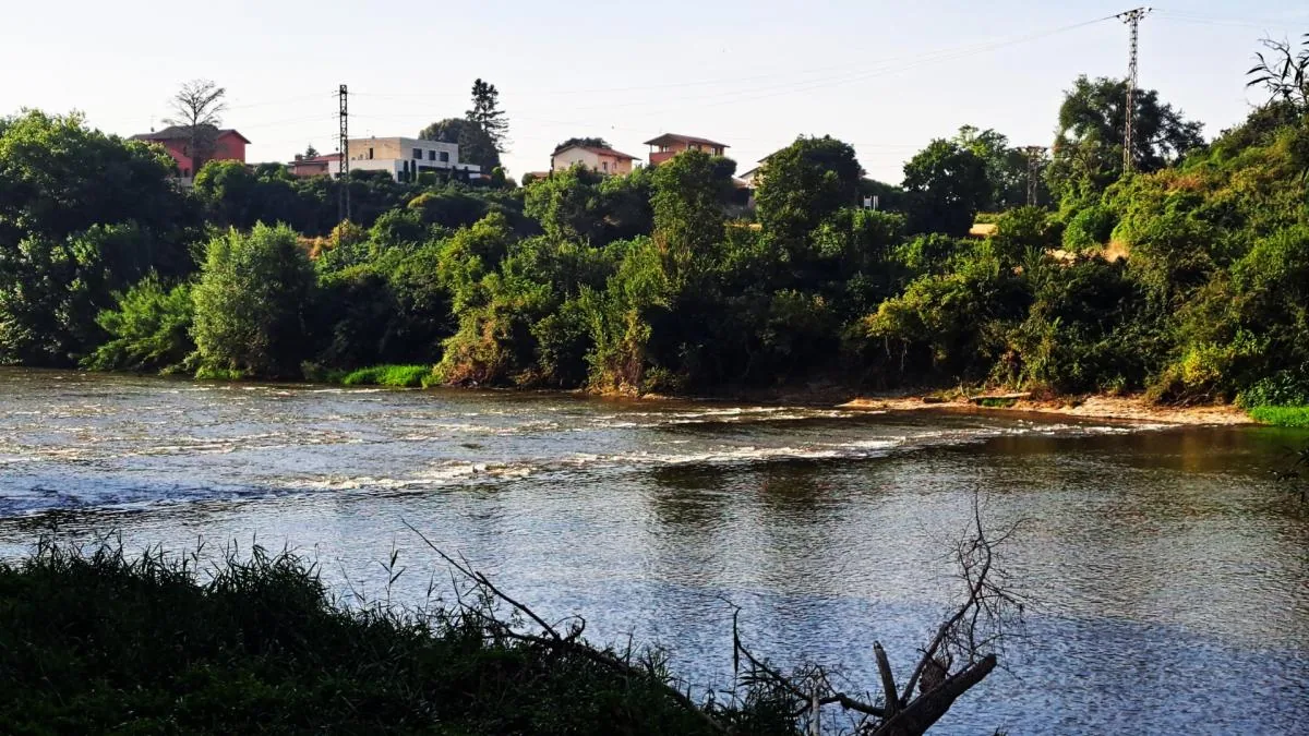 Two 11-year-old twin brothers drown in the Ter River in Manlleu