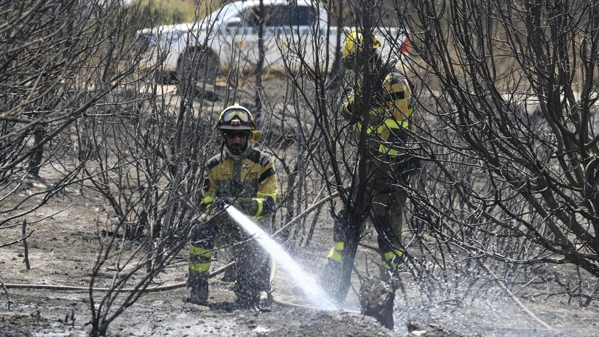 Fire in Orés stabilized after burning 14,400 hectares