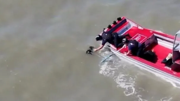Instante del rescate.