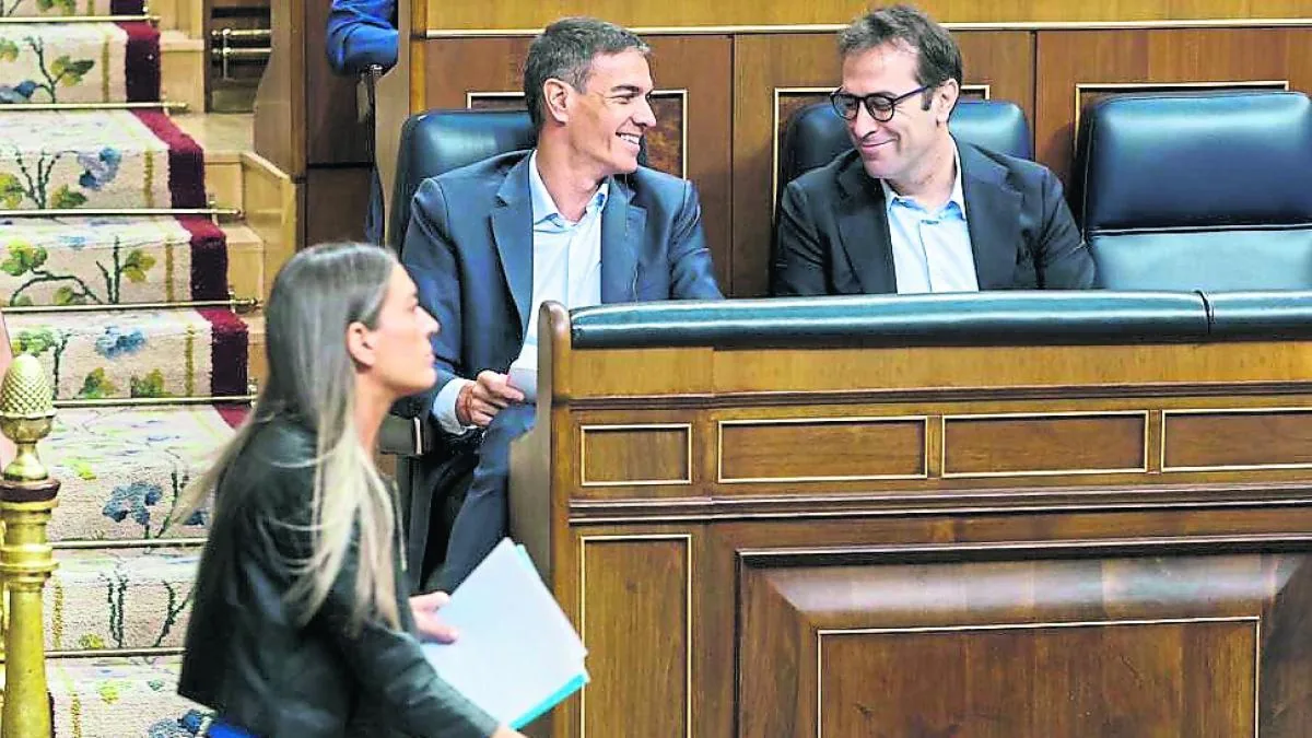 The legislature of amnesty (for better or worse)